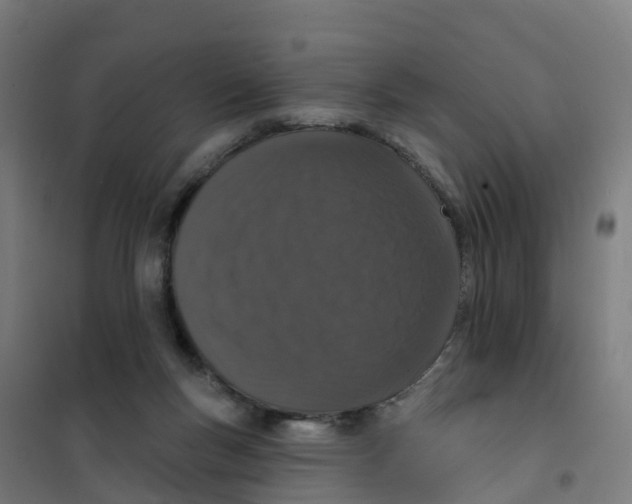 X0000100360167200807031846