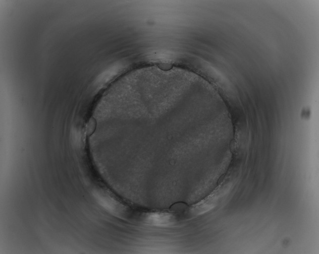 X0000100360168200807031846