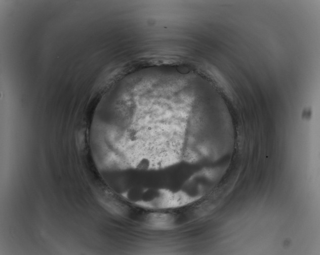 X0000100360169200807031846
