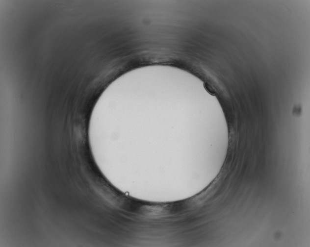 X0000100360170200807031846