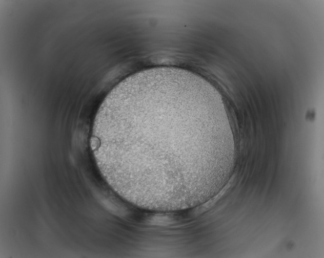 X0000100360171200807031846