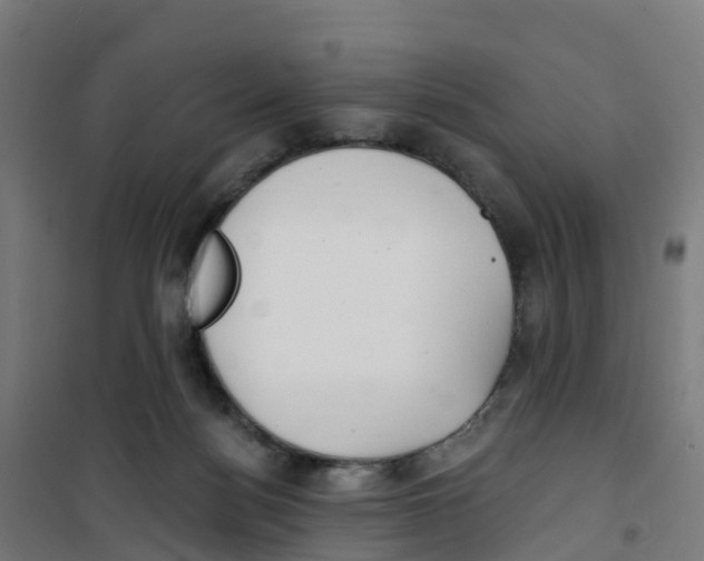 X0000100360172200807031846