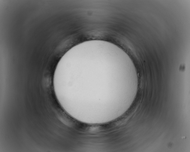 X0000100360173200807031846