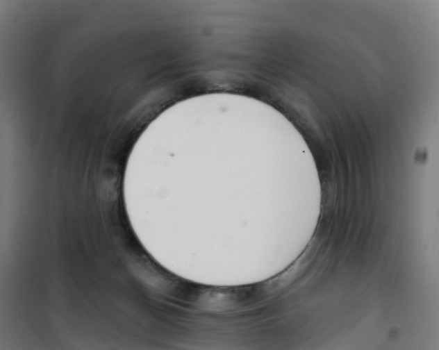 X0000100360174200807031846