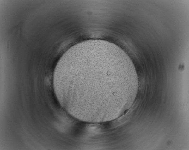 X0000100360175200807031846