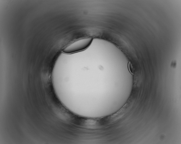 X0000100360176200807031846