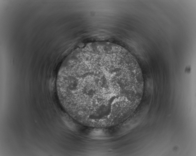 X0000100360177200807031846