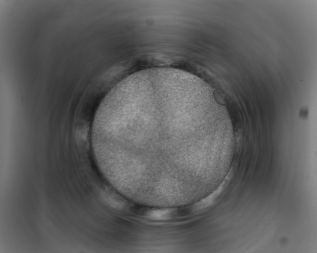 X0000100360178200807031846
