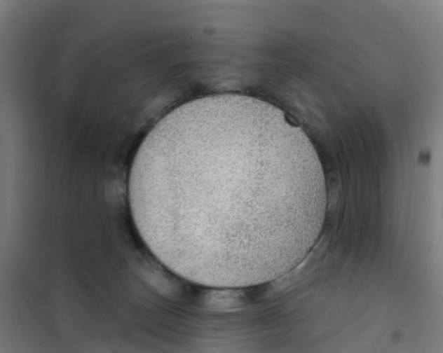 X0000100360179200807031847