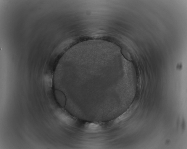 X0000100360180200807031847