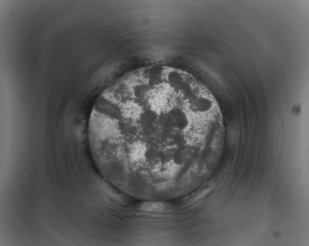 X0000100360181200807031847