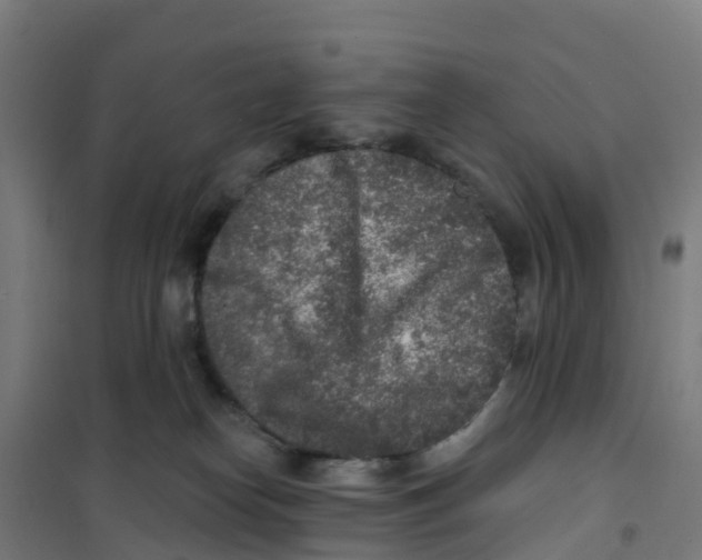 X0000100360182200807031847