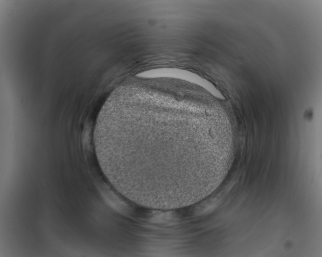 X0000100360185200807031847