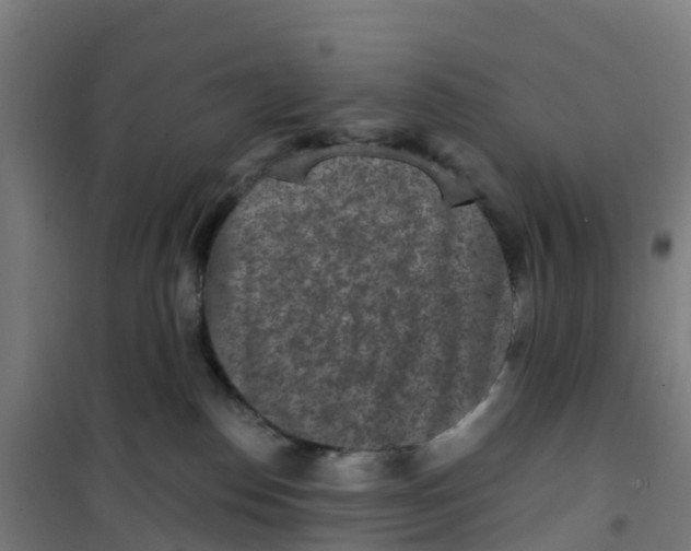 X0000100360186200807031847