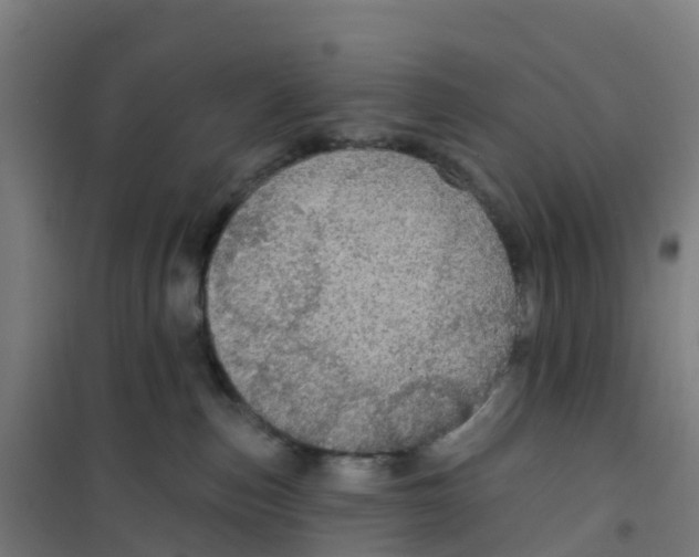 X0000100360187200807031847