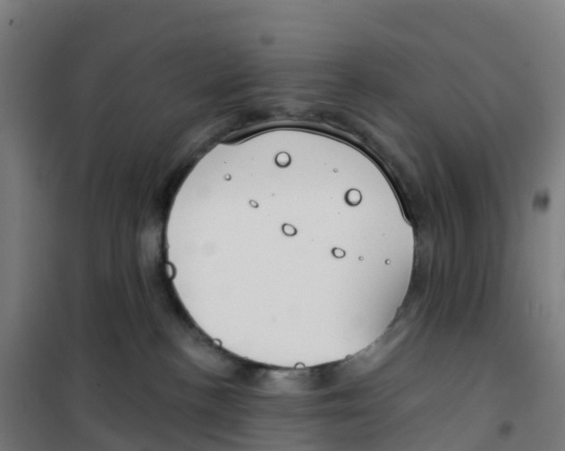 X0000100360188200807031847
