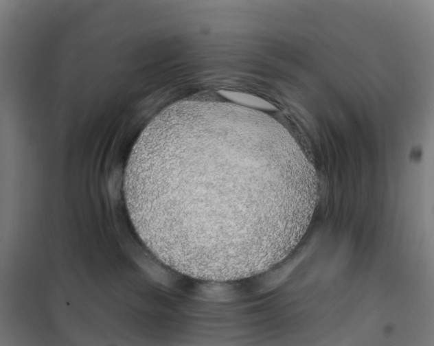 X0000100360189200807031847
