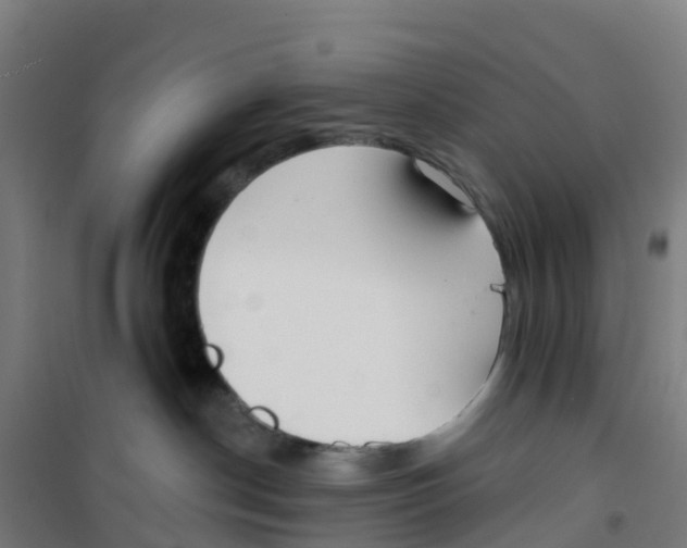 X0000100360190200807031847
