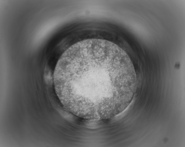 X0000100360191200807031847