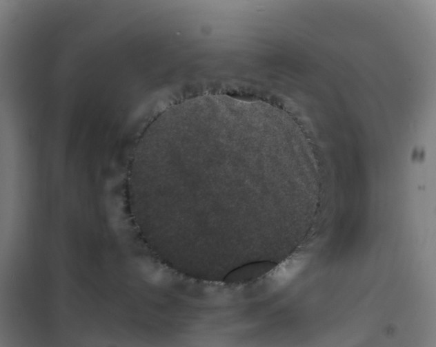 X0000100360192200807031847