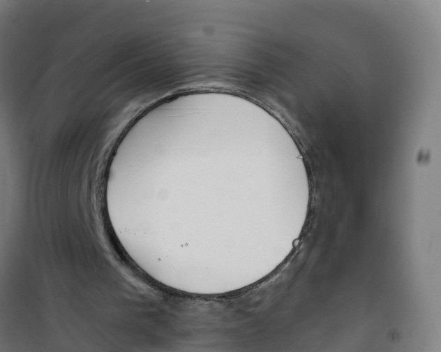 X0000100360193200807031846