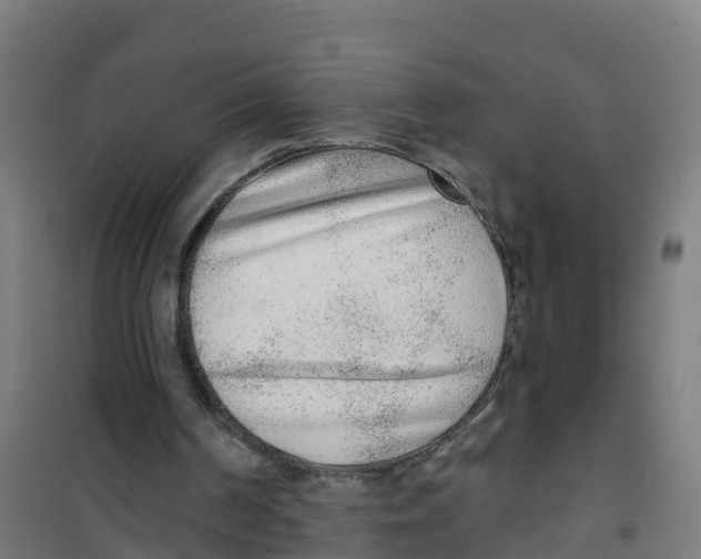 X0000100360194200807031846