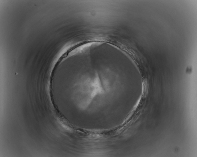 X0000100360195200807031846