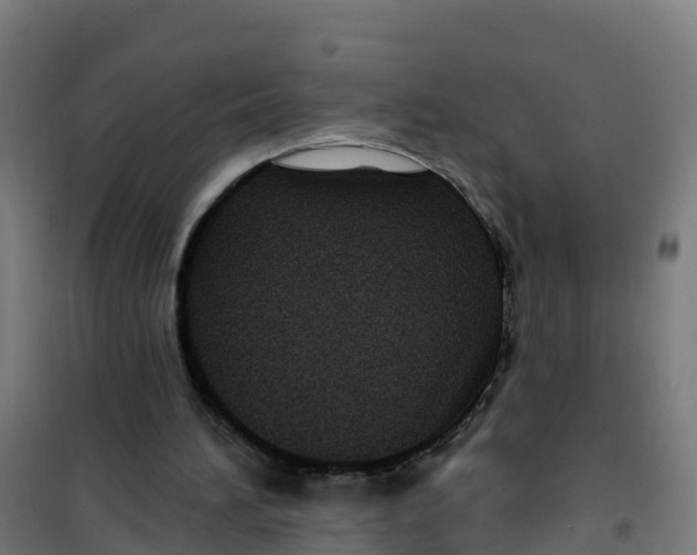 X0000100360196200807031846