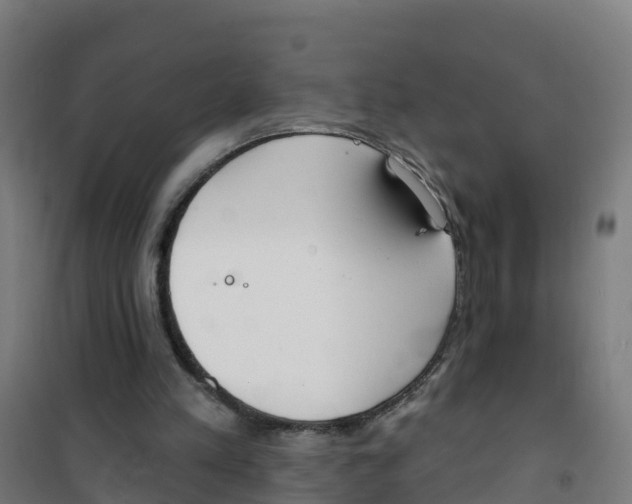 X0000100360197200807031846