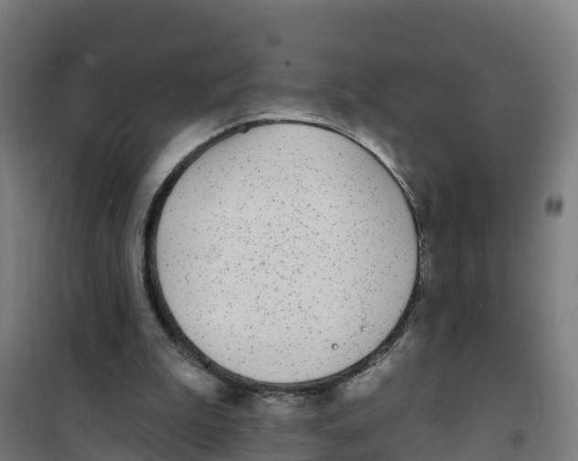 X0000100360199200807031846