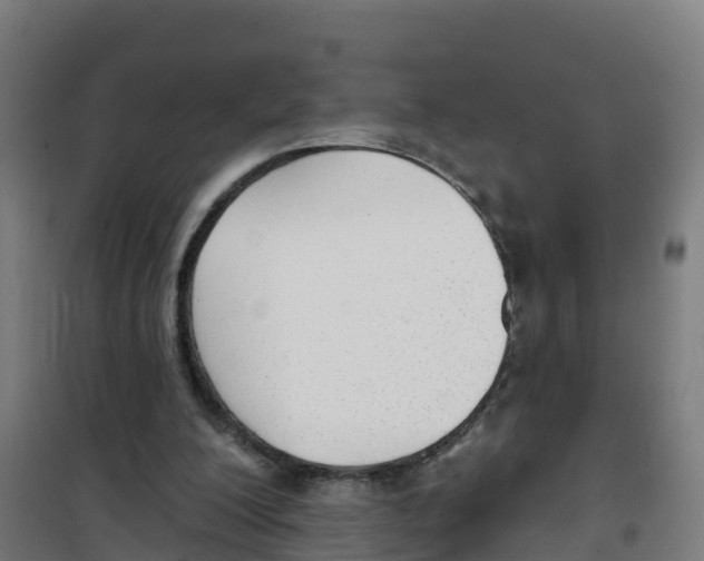 X0000100360200200807031846