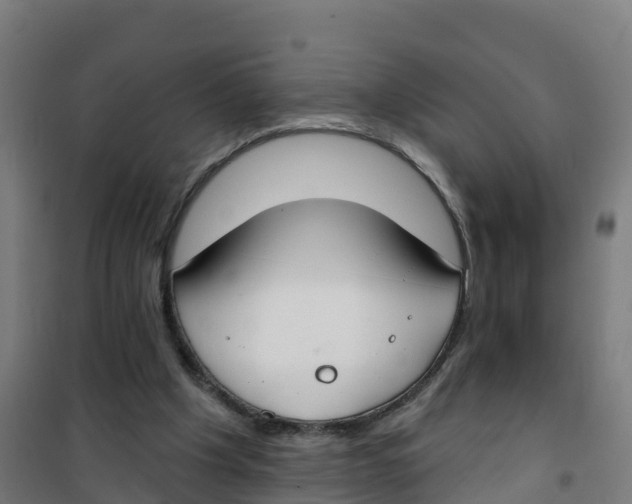 X0000100360201200807031846