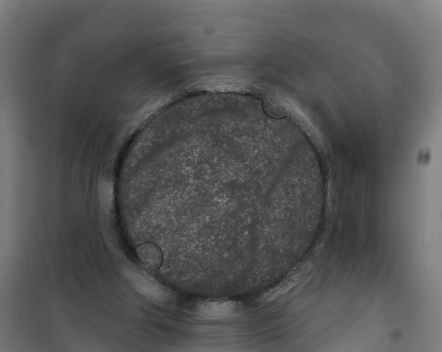 X0000100360202200807031846