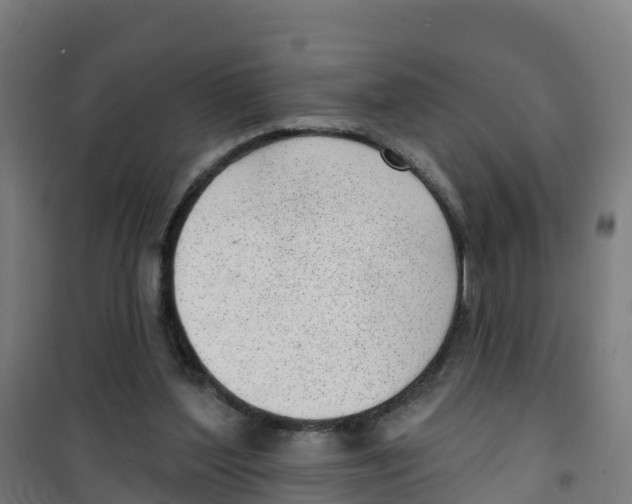 X0000100360204200807031846