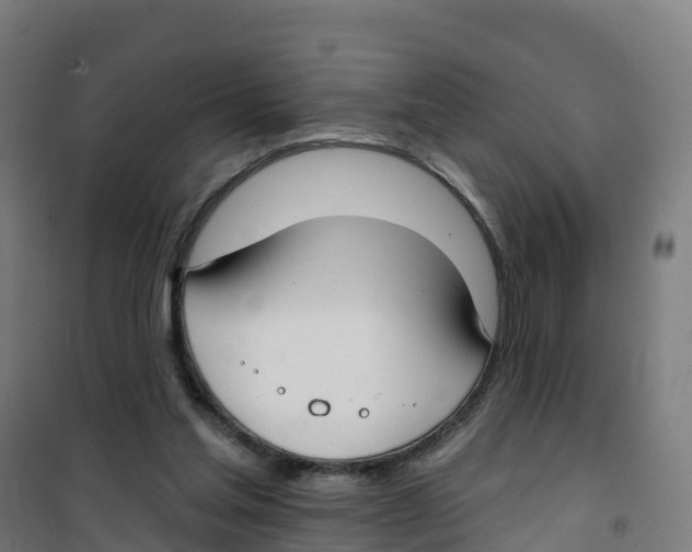 X0000100360205200807031846
