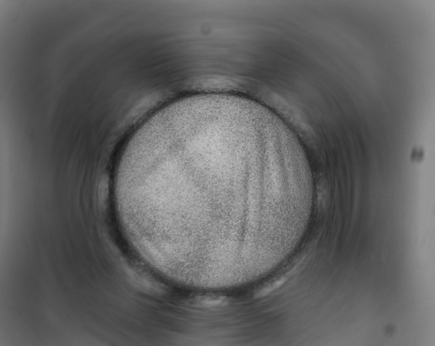 X0000100360206200807031846