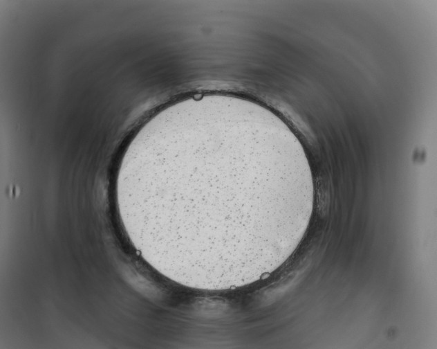 X0000100360207200807031846