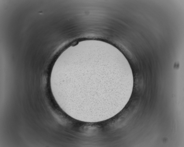 X0000100360208200807031846