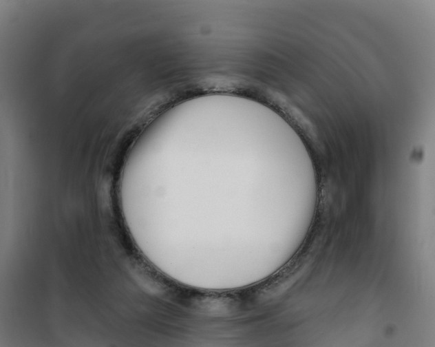 X0000100360209200807031846
