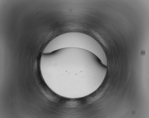 X0000100360213200807031846