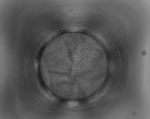 X0000100360214200807031846