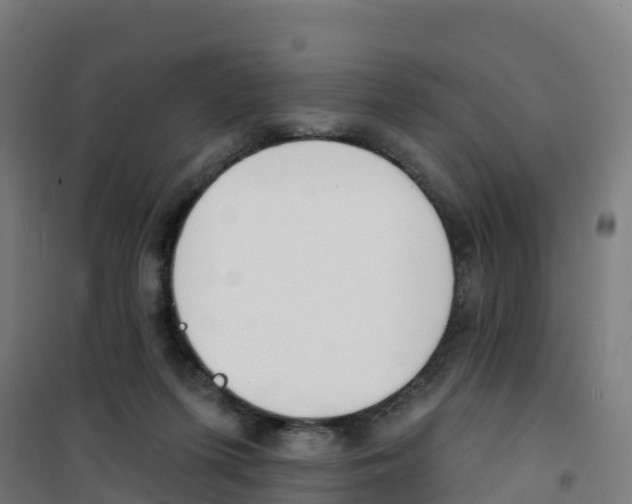X0000100360215200807031846