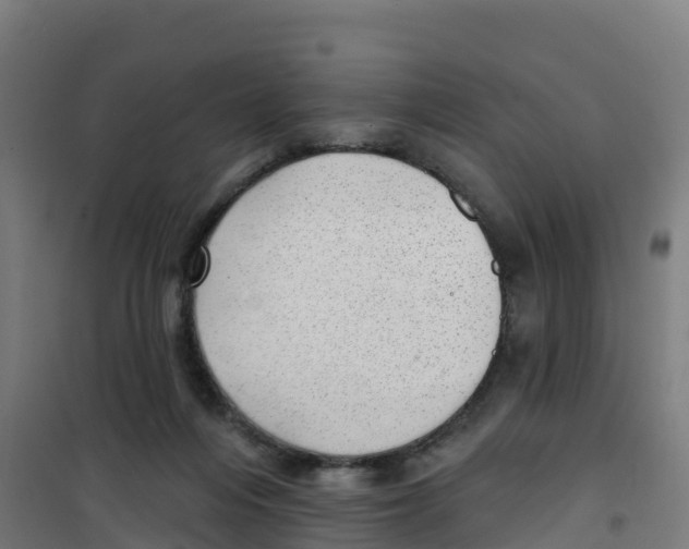X0000100360216200807031846