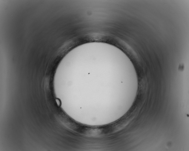 X0000100360217200807031845