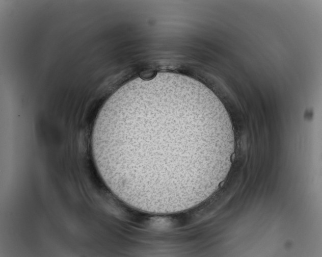 X0000100360218200807031845