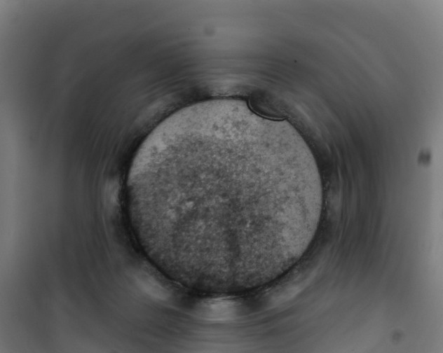 X0000100360219200807031845