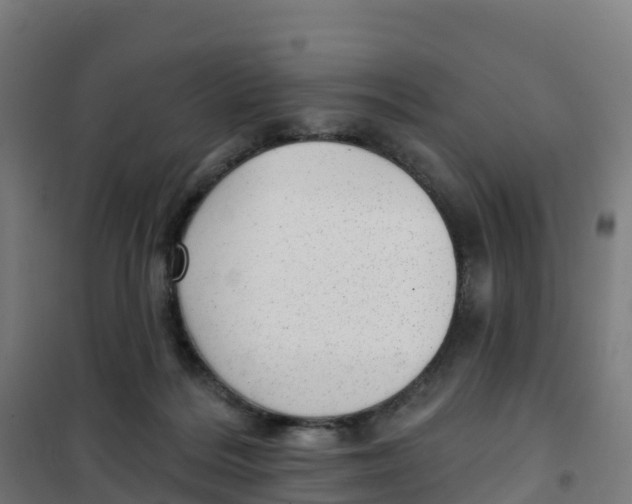 X0000100360220200807031845
