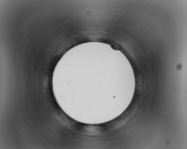 X0000100360221200807031845