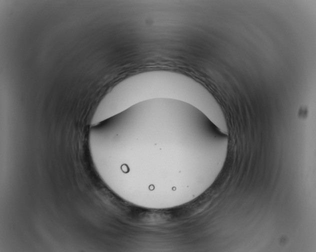 X0000100360223200807031845