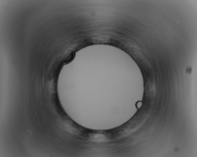 X0000100360224200807031845